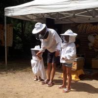 08 et toujours des apiculteurs en herbe 